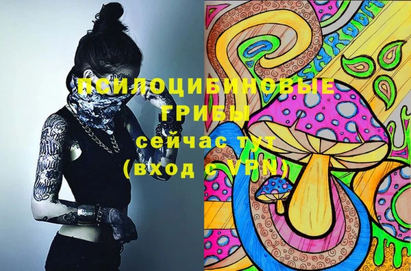 мяу мяу кристалл Каменка