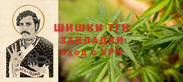 PSILOCYBIN Каменск-Шахтинский