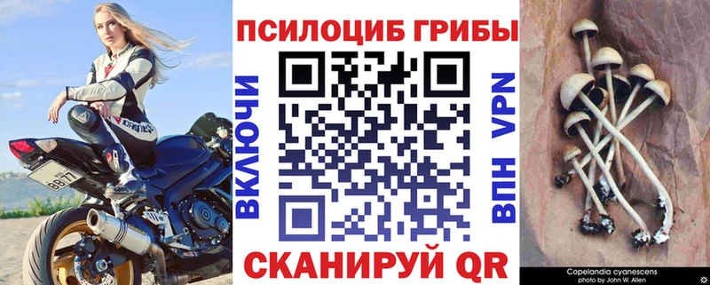 Галлюциногенные грибы ЛСД  Купить где  Талдом 